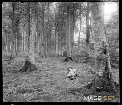 Homme dans une forêt (Varangeville-sur-Mer)
